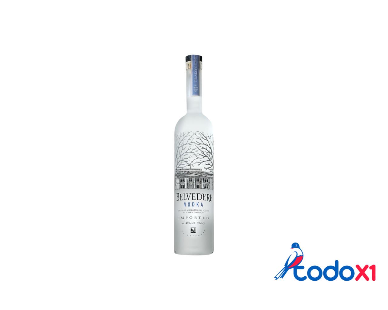 todox1_bebidas6 Botella de vodka belvedere 700ml - Imagen 1