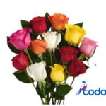 Ramo de 15 rosas mixtas