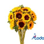 Ramo de 25 girasoles