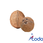 Cocos enteros  2unidades