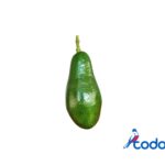 Aguacate