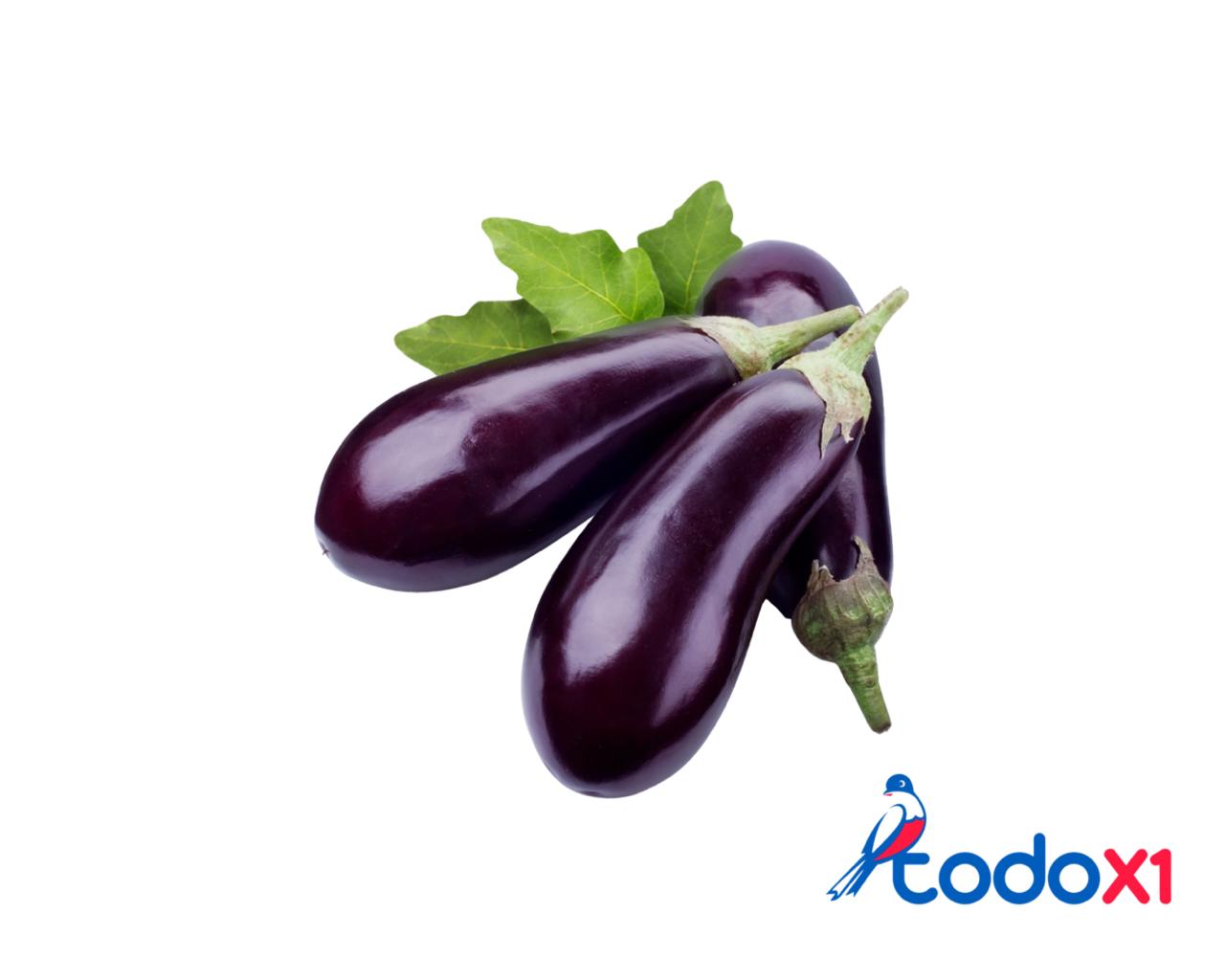 todox1_mercado40 Berenjena 1libra - Imagen 1