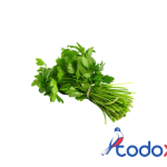 Cilantro 1mazo