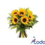 Ramo de 10 girasoles