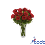 Ramo de 10 rosas rojas