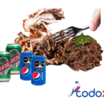Oferta de 2 lonja de cerdo + 2 cerveza + 2 refresco